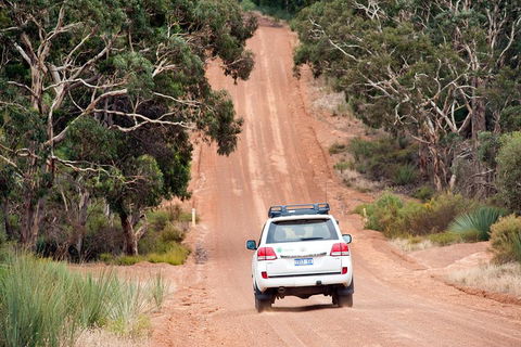 Small-Group Kangaroo Island 4WD Tour From Adelaide - Lightning Ridge Tourism 3