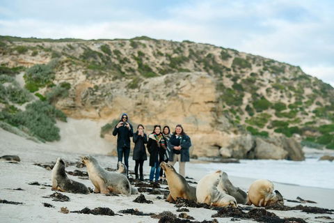Small-Group Kangaroo Island 4WD Tour From Adelaide - Lightning Ridge Tourism 4