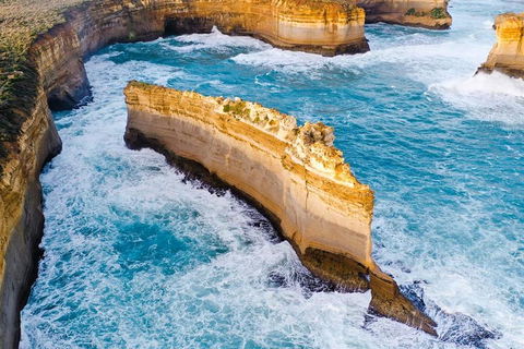 Small-Group Great Ocean Road Day Trip From Melbourne - Lightning Ridge Tourism 2