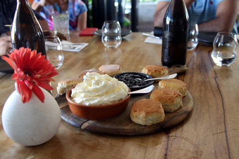 Cairns City Sights And Surrounds Tour - Lightning Ridge Tourism 3