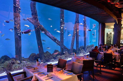 Cairns Aquarium And Small Group City Sightseeing Tour - Lightning Ridge Tourism 4
