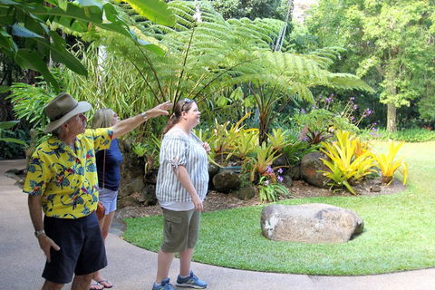 Cairns Shore Excursion: Cairns City Sights & Surrounds Tour - Lightning Ridge Tourism 4