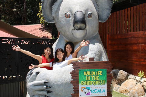 Kuranda Koala Gardens And Birdworld Admission Tickets - Lightning Ridge Tourism 3