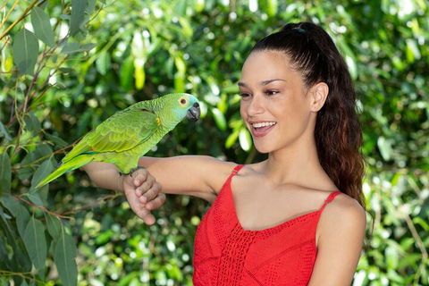 Kuranda Wildlife Experience Three Attraction Pass - Lightning Ridge Tourism 1