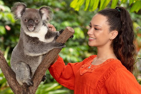 Kuranda Wildlife Experience Three Attraction Pass - Lightning Ridge Tourism 4