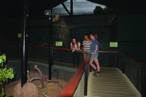 Kuranda Koala Gardens General Entry Ticket - Lightning Ridge Tourism 2