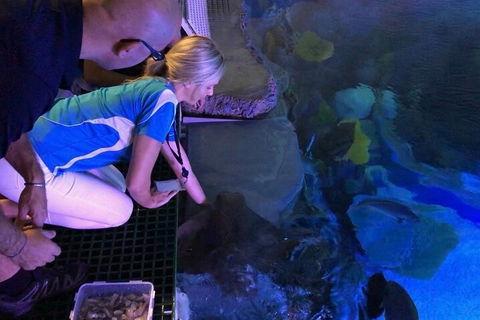 Cairns Aquarium Marine Life Encounter Ticket With 2-Course Lunch - Lightning Ridge Tourism 2