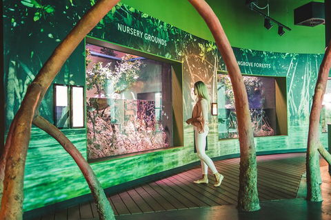 Cairns Aquarium Marine Life Encounter Ticket With 2-Course Lunch - Lightning Ridge Tourism 3