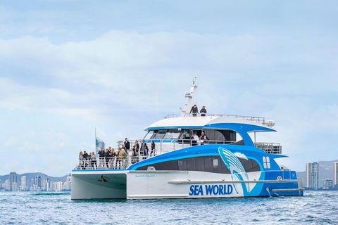 Whale Watching By Sea World Cruises - Lightning Ridge Tourism 3