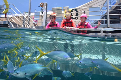 Outer Reef Pontoon Experience From Cairns - Lightning Ridge Tourism 0