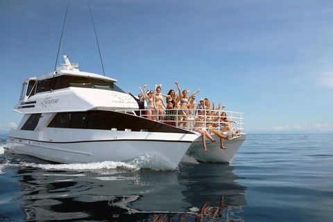 Seastar Luxury Outer Great Barrier Reef Island And Reef Tour From Cairns - Lightning Ridge Tourism 4