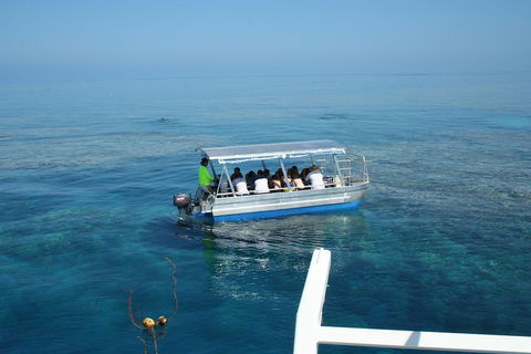Seastar Luxury Outer Great Barrier Reef Island And Reef Tour From Cairns - Lightning Ridge Tourism 5