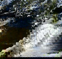 Cradle Mountain Day Tour from Launceston Including Lunch - Lightning Ridge Tourism