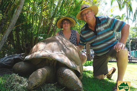 Small-Group Australia Zoo Day Trip From Brisbane - Lightning Ridge Tourism 1