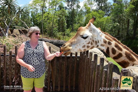 Small-Group Australia Zoo Day Trip From Brisbane - Lightning Ridge Tourism 2