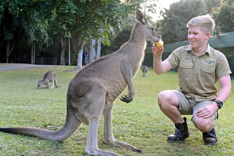 Small-Group Australia Zoo Day Trip From Brisbane - Lightning Ridge Tourism 4