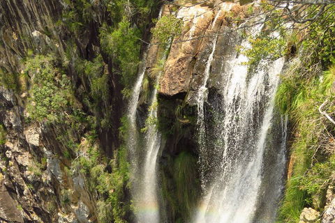 Beyond Byron Hinterland Tour - Lightning Ridge Tourism 5