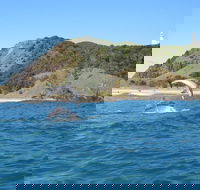 Kayaking with Dolphins in Byron Bay Guided Tour - Lightning Ridge Tourism