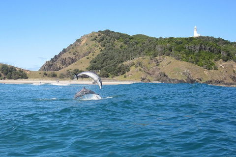 Kayaking With Dolphins In Byron Bay Guided Tour - Lightning Ridge Tourism 0