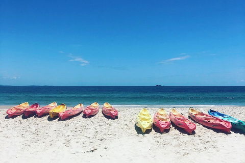 Kayaking With Dolphins In Byron Bay Guided Tour - Lightning Ridge Tourism 1