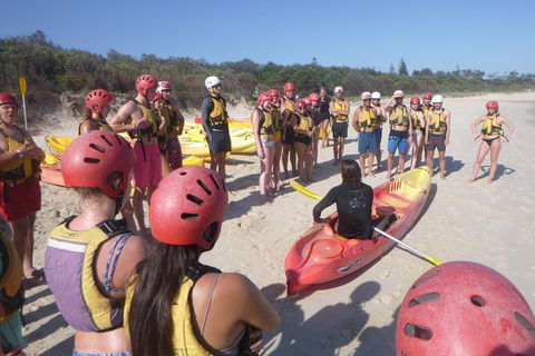 Kayaking With Dolphins In Byron Bay Guided Tour - Lightning Ridge Tourism 2