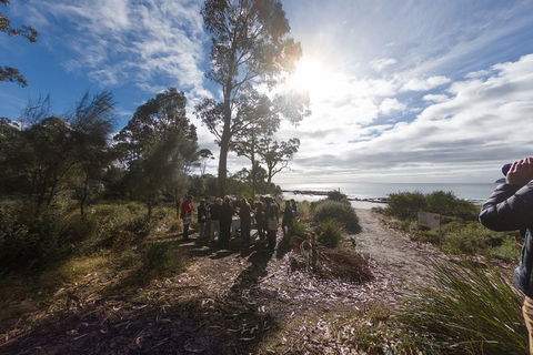Bruny Island Day Tour, Includes Lunch And Exclusive Lighthouse Tour - Lightning Ridge Tourism 5
