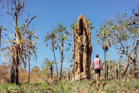 Litchfield National Park Waterfalls And Wildlife Tour From Darwin - Lightning Ridge Tourism 4