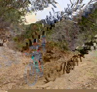 Mount Lofty Descent Bike Tour from Adelaide - Lightning Ridge Tourism