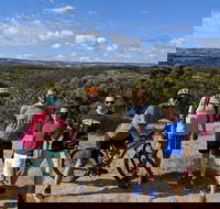 McLaren Vale Wine Tour by Bike - Lightning Ridge Tourism
