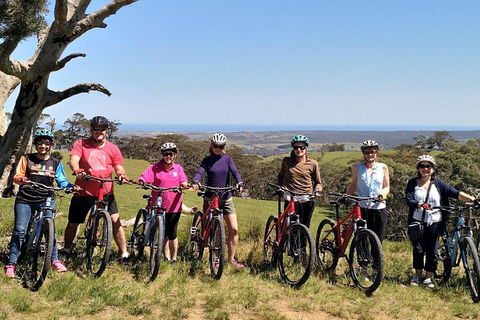 McLaren Vale Wine Tour By Bike - Lightning Ridge Tourism 2