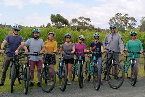 McLaren Vale Wine Tour By Bike - Lightning Ridge Tourism 4