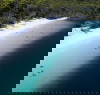 All-Inclusive Fraser Island Day Tour - Lightning Ridge Tourism