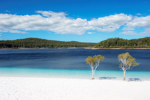 All-Inclusive Fraser Island Day Tour - Lightning Ridge Tourism 3