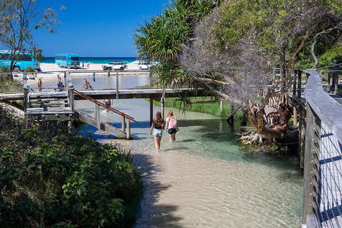 All-Inclusive Fraser Island Day Tour - Lightning Ridge Tourism 4