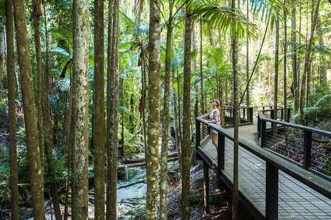 All-Inclusive Fraser Island Day Tour - Lightning Ridge Tourism 5