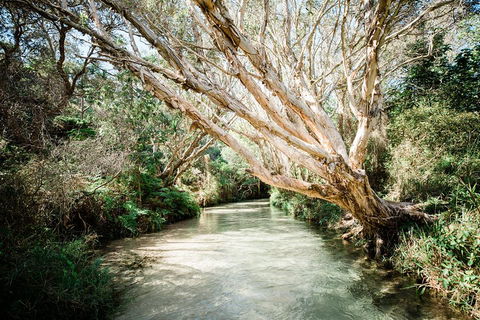 3-Day Fraser Island Resort Package - Lightning Ridge Tourism 5