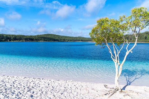 Lake McKenzie Full-Day Tour With Lunch From Hervey Bay - Lightning Ridge Tourism 1