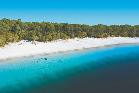 Lake McKenzie Full-Day Tour With Lunch From Hervey Bay - Lightning Ridge Tourism 4