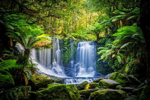Day Tour In Mt. Field, Mt. Wellington, Bonorong Wildlife Sanctuary And Richmond - Lightning Ridge Tourism 0
