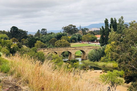 Day Tour In Mt. Field, Mt. Wellington, Bonorong Wildlife Sanctuary And Richmond - Lightning Ridge Tourism 3
