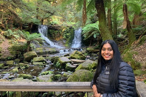 Day Tour In Mt. Field, Mt. Wellington, Bonorong Wildlife Sanctuary And Richmond - Lightning Ridge Tourism 5