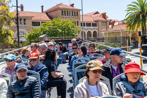 Perth Hop-On Hop-Off Bus Tour - Lightning Ridge Tourism 1