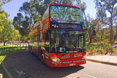 Perth Hop-On Hop-Off Bus Tour - Lightning Ridge Tourism 4