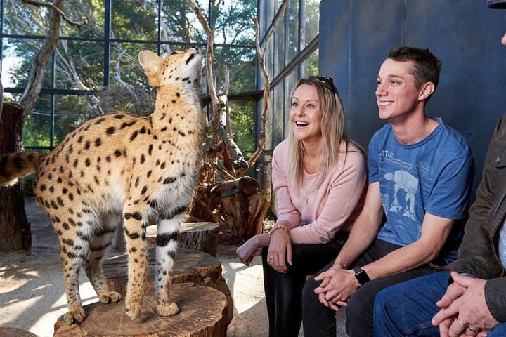  Lightning Ridge Tourism