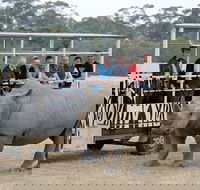 Off-Road Safari at Werribee Open Range Zoo - Lightning Ridge Tourism
