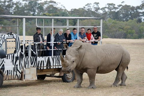 Off-Road Safari At Werribee Open Range Zoo - Lightning Ridge Tourism 0