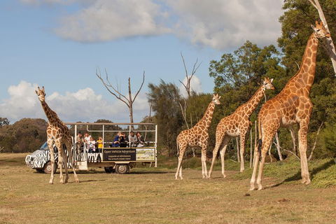 Off-Road Safari At Werribee Open Range Zoo - Lightning Ridge Tourism 3