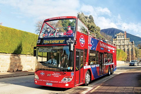 Hobart Hop-On Hop-Off Bus & Kunanyi/Mt Wellington Tour - Lightning Ridge Tourism 4