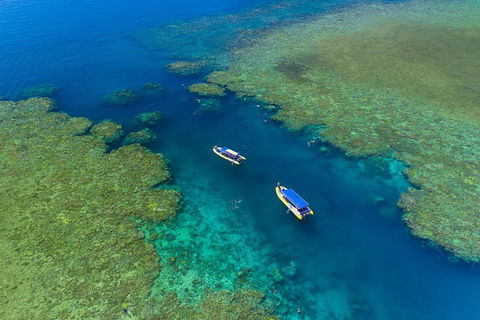 Great Barrier Reef Scenic Flight And Ocean Rafting Whitehaven Beach Day Trip - Lightning Ridge Tourism 4
