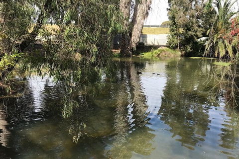 Perth East Foreshore And City Segway Tour - Lightning Ridge Tourism 1